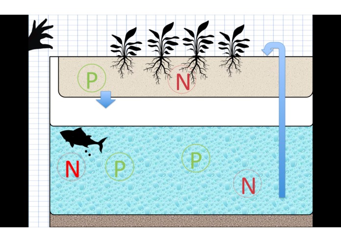 Family Biotope – screenshot 2