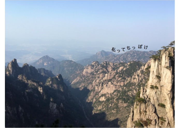 HiQue – screenshot 1