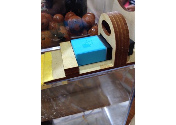 Family Biotope – screenshot 3