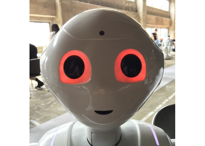 Pepper Wars – screenshot 5