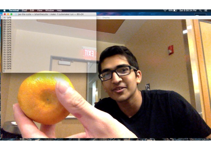 cute-or-not – screenshot 1