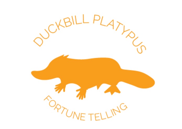 Stars of Platypus – screenshot 1