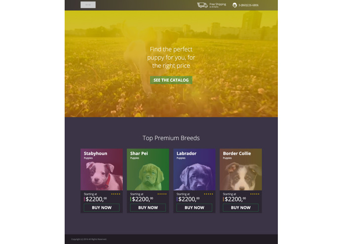 BuyaPuppy [Project for the Axiom-Zen design challenge] – screenshot 1