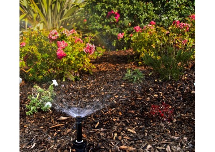 Plant Care – screenshot 1