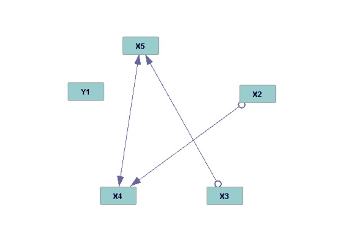 Comparison of Rcausal and Tetrad – screenshot 3
