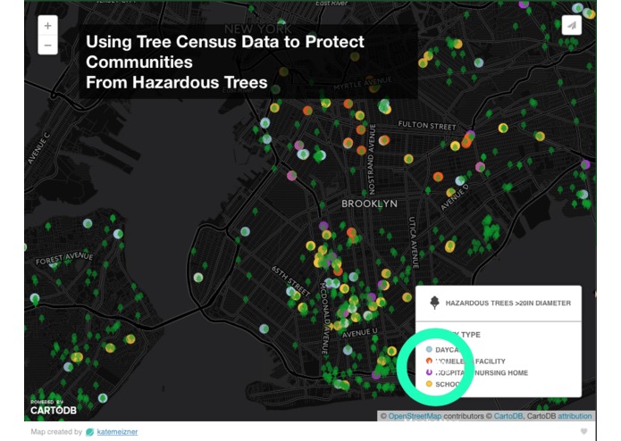 Keeping You Safe From Hazardous Trees – screenshot 1