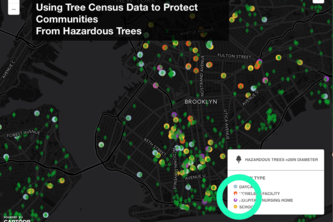 Keeping You Safe From Hazardous Trees