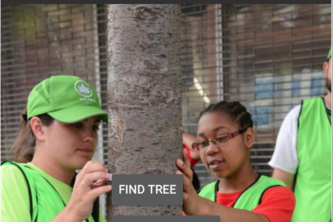 NYCmyTree