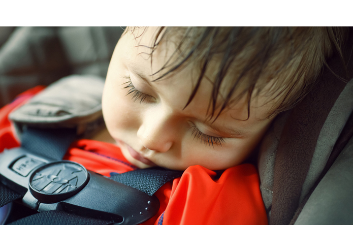 Automotive Safeguards for Neglected Infants and Pets – screenshot 1