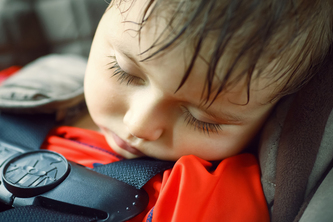 Automotive Safeguards for Neglected Infants and Pets
