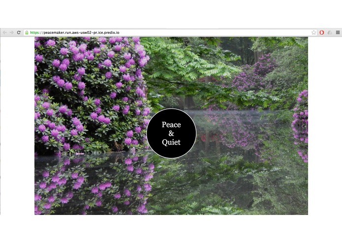 The Peacemaker – screenshot 1