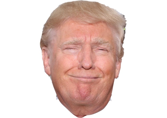 Trump Or False – screenshot 4