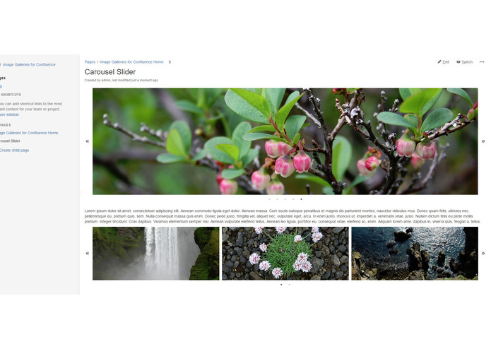 Image Galleries and Slider for Confluence – screenshot 1