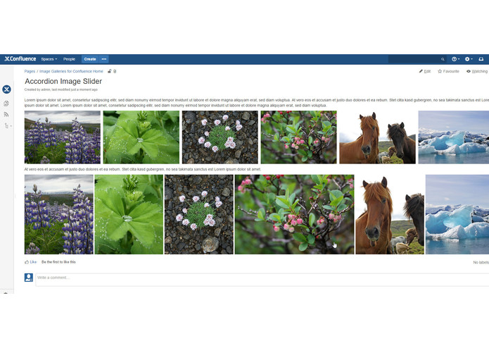 Image Galleries and Slider for Confluence – screenshot 4