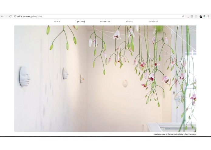 peter-gallery – screenshot 3