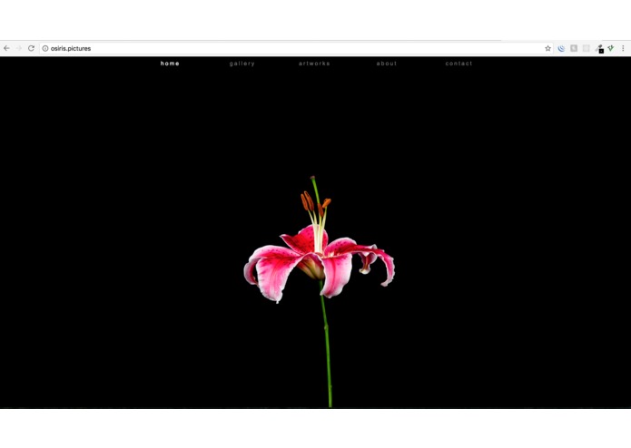 peter-gallery – screenshot 4