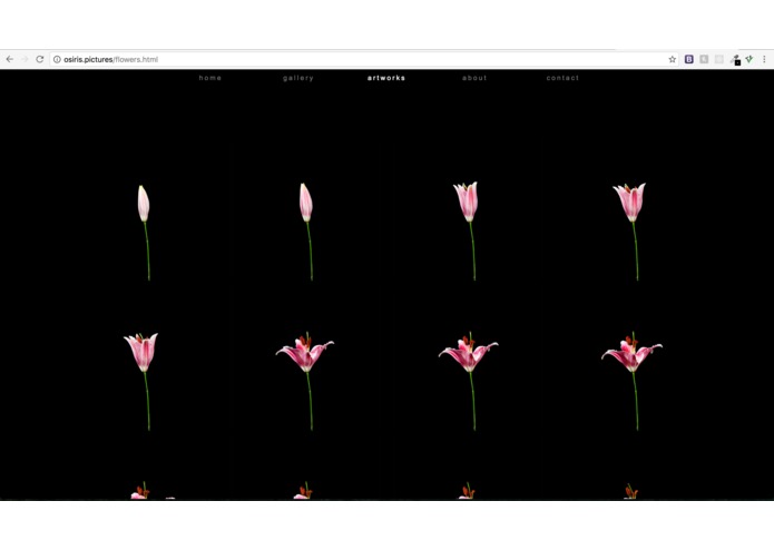 peter-gallery – screenshot 1