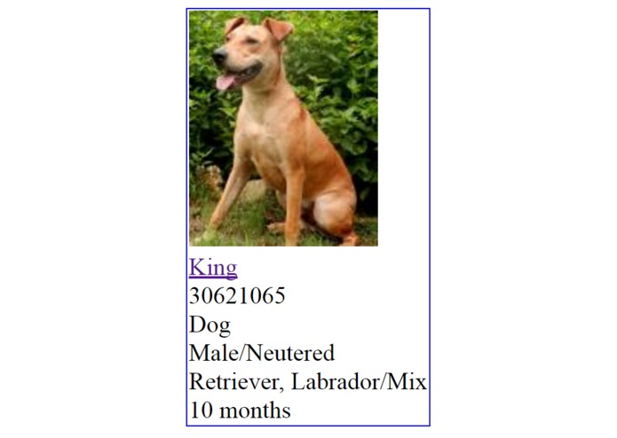 Featured Pet Display – screenshot 1