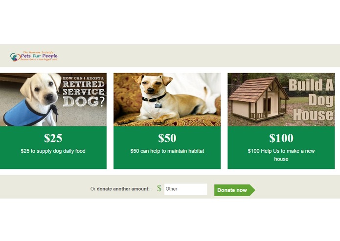 Donation Management System – screenshot 1