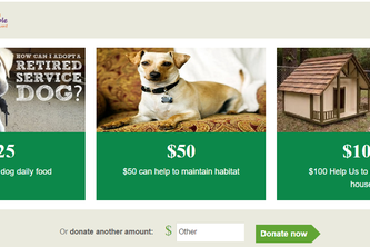 Donation Management System