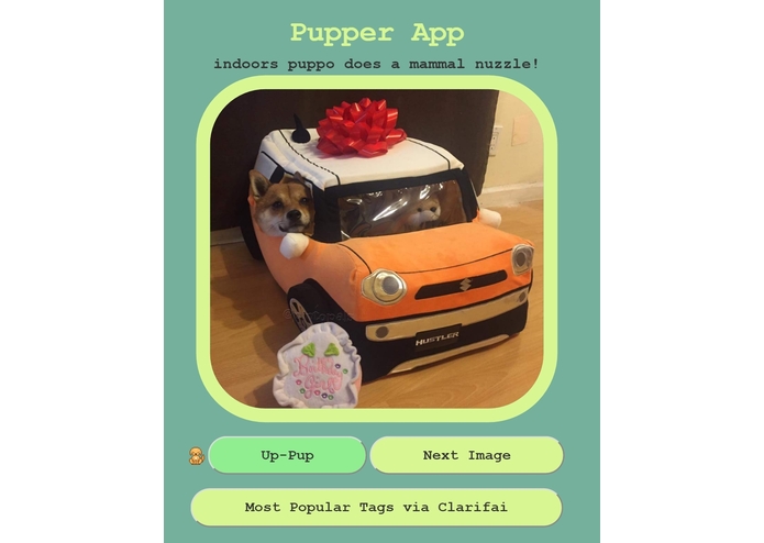 Pupper Scouter – screenshot 1