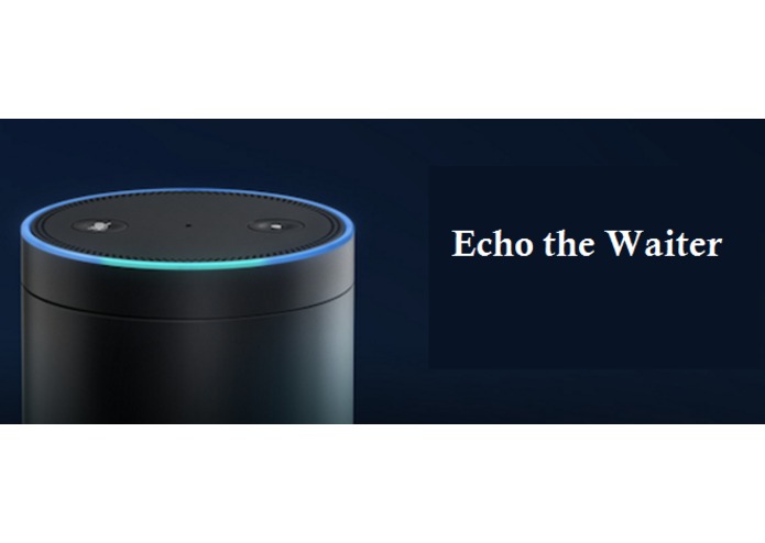 Echo the Waiter – screenshot 1