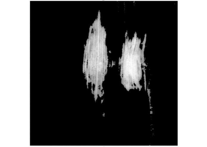 Top Crop – screenshot 2