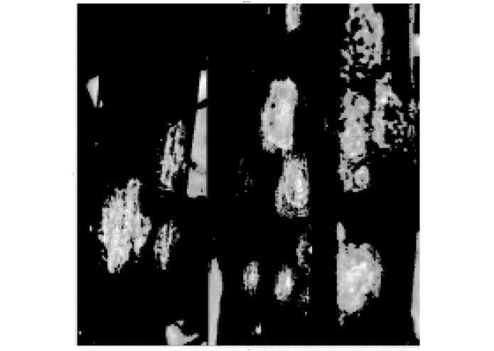 Top Crop – screenshot 4