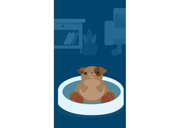 inter•pet – screenshot 4