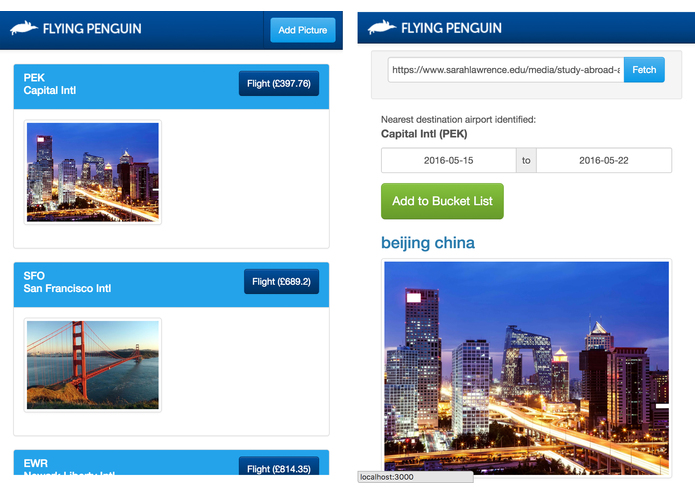 Flying Penguin – screenshot 1