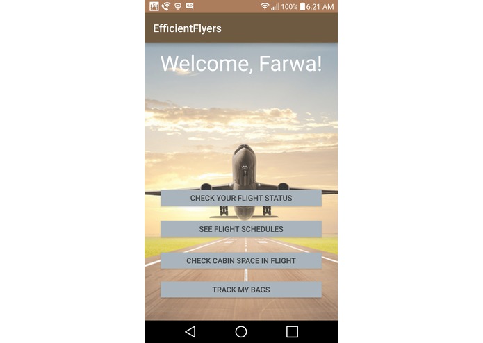 EffiFly – screenshot 6