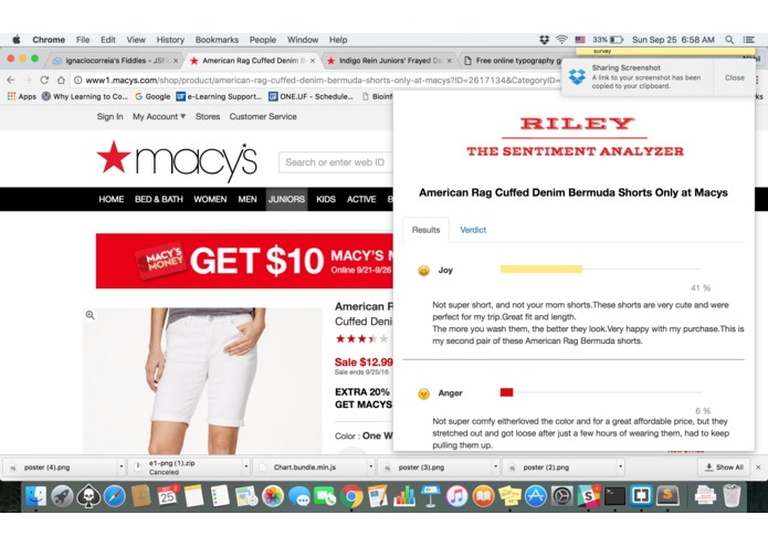 Riley - A Sentiment Analyzer – screenshot 5