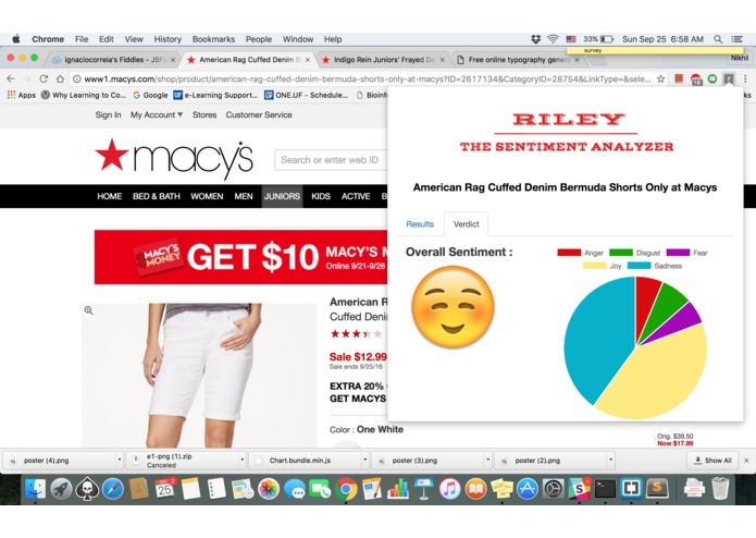 Riley - A Sentiment Analyzer – screenshot 8