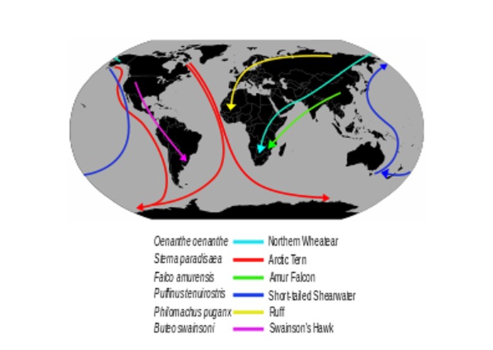 2016 GBIF Ebbe Nielsen Challenge - Proposed Solutions – screenshot 3