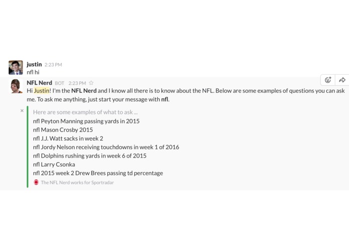 The NFL Nerd – screenshot 1