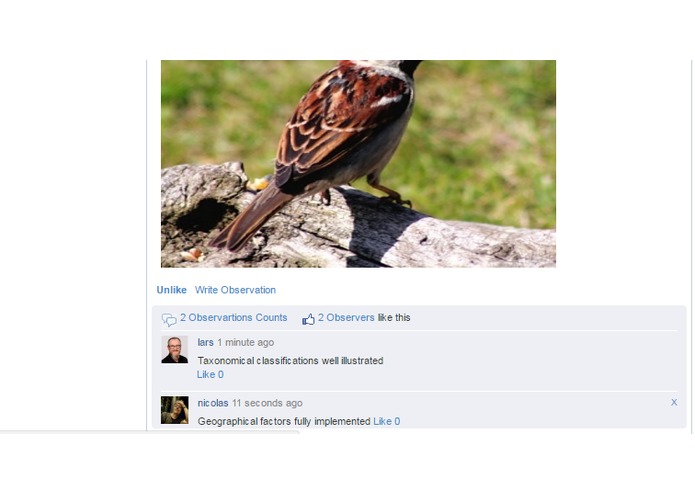 GBIF Reporter: A solution to GBIF Dataset Challenges – screenshot 12