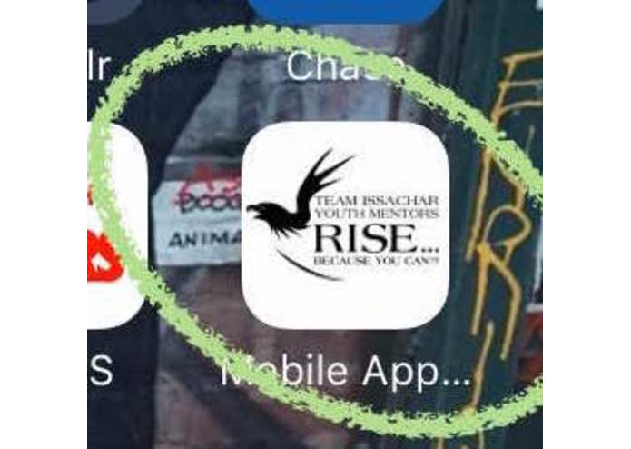 Yourise  – screenshot 1