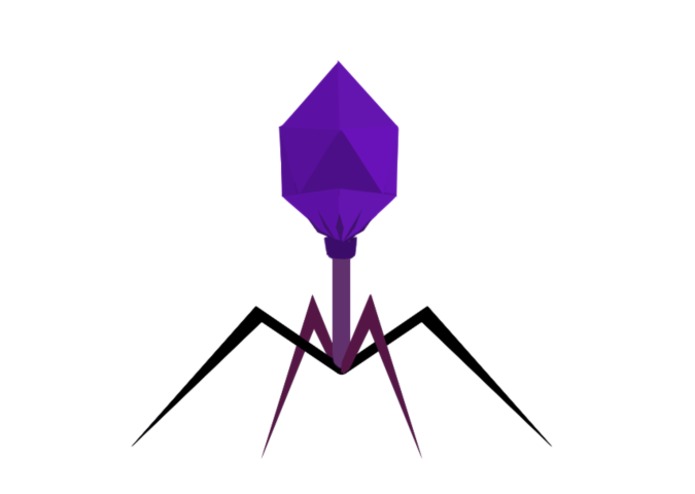 HackMyHaploid – screenshot 3