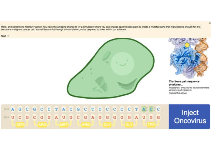 HackMyHaploid – screenshot 6