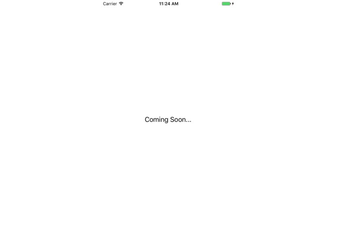 Bus Buddy – screenshot 8