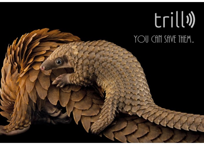Trill – screenshot 5