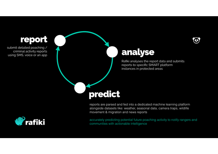 Rafiki – screenshot 5