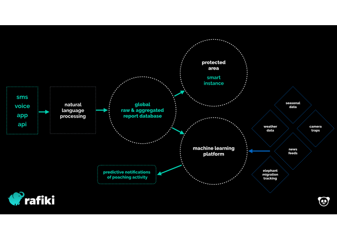Rafiki – screenshot 10