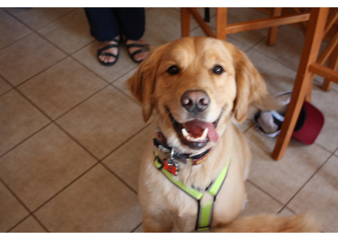 Happy Hands – screenshot 1