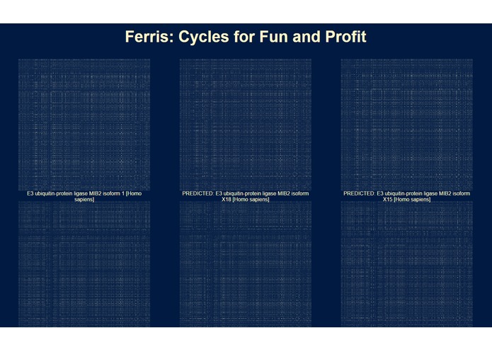 Ferris: Cycles for Fun and Profit – screenshot 2