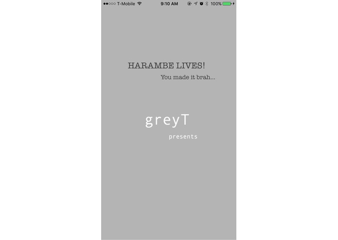 greyT – screenshot 5