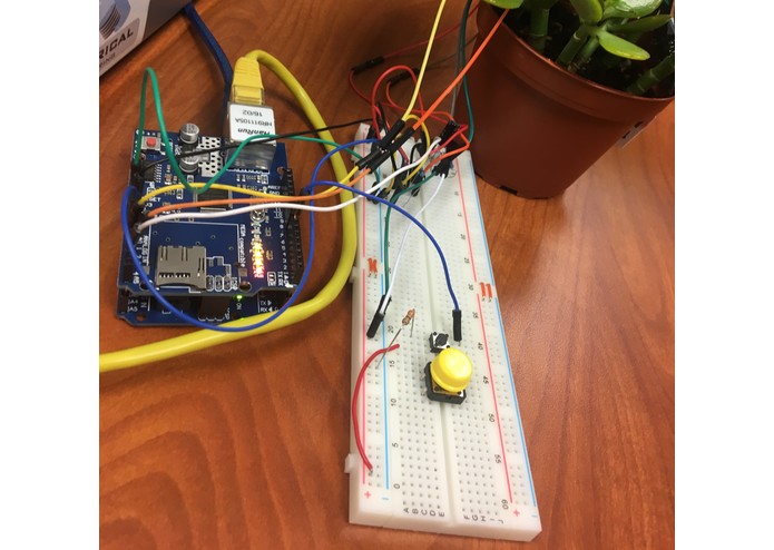 Kevin the Kakti – screenshot 3