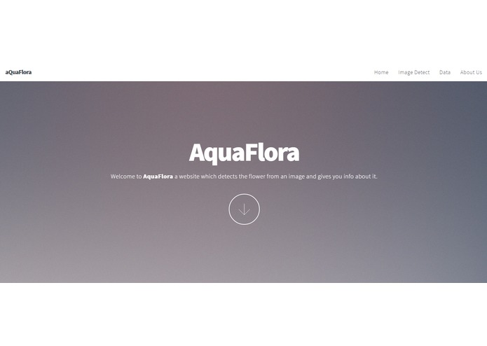 aQuaFlora – screenshot 2