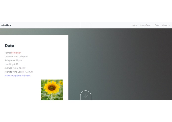 aQuaFlora – screenshot 4