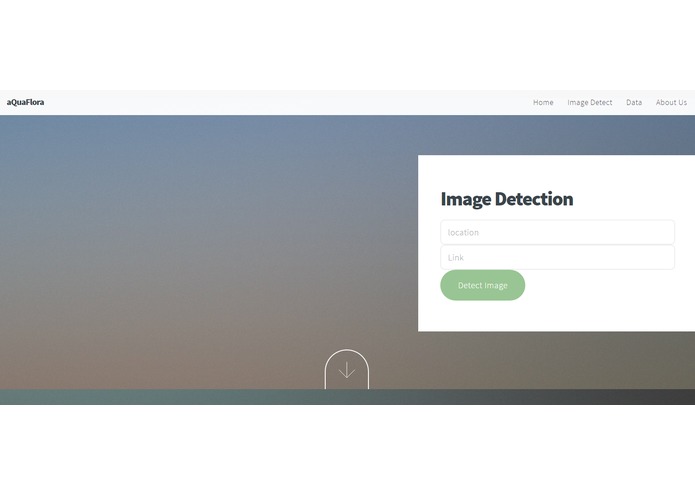 aQuaFlora – screenshot 3